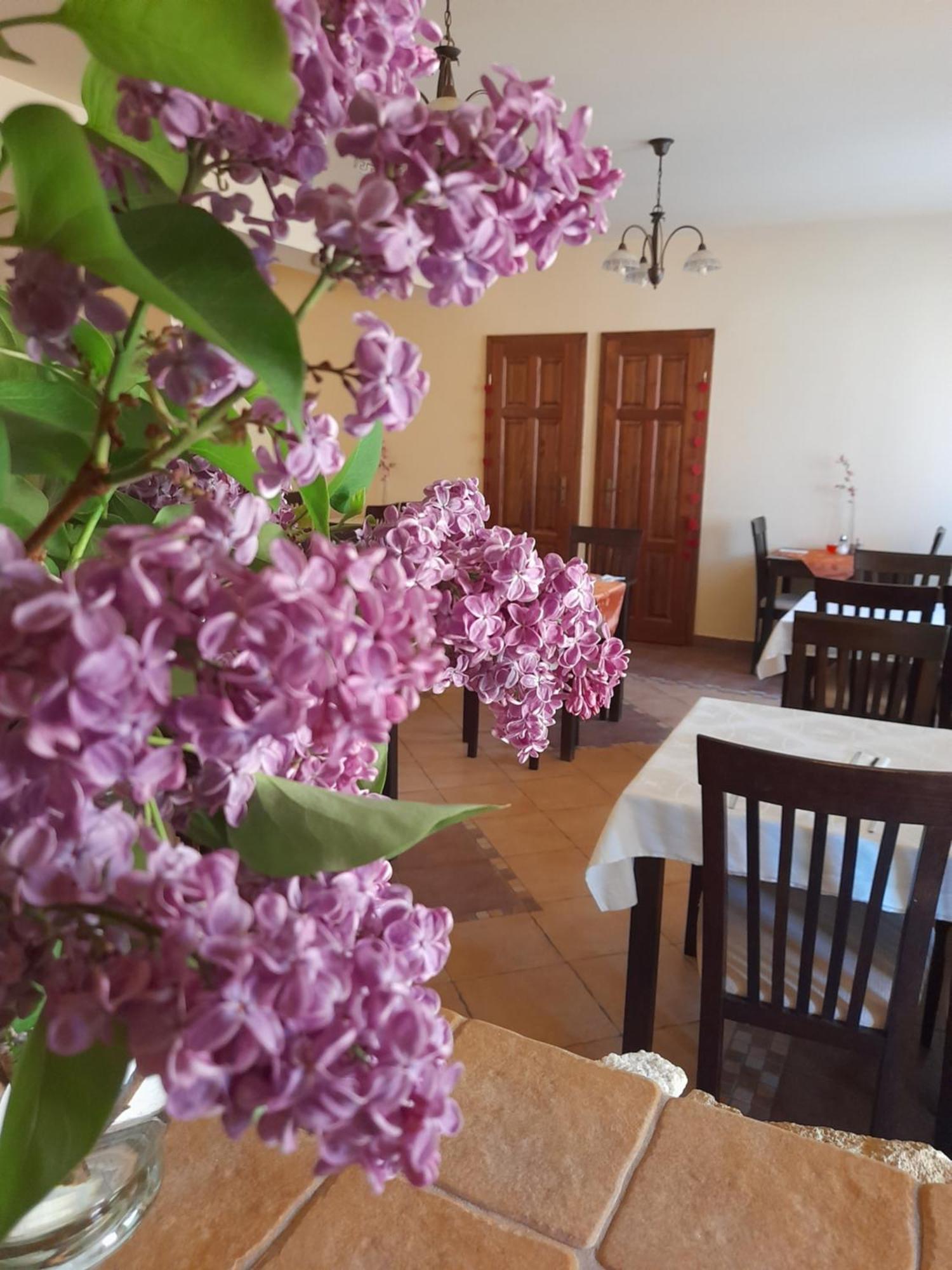 Harmonia Wellness Villa ซิลวาชวาร็อด ภายนอก รูปภาพ